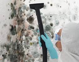 Best Industrial Mold Remediation  in Ludington, MI